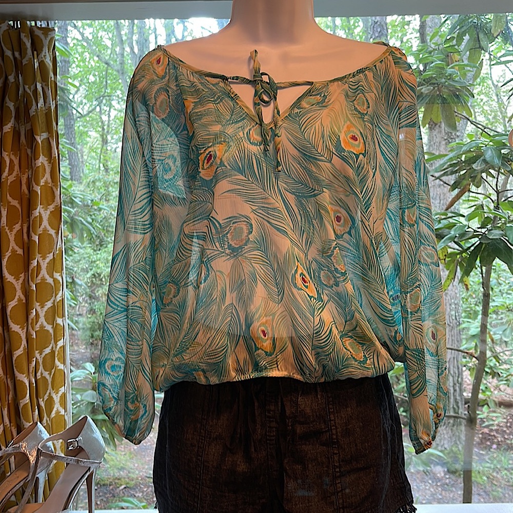 Vintage H&M sheer peacock feather top.
